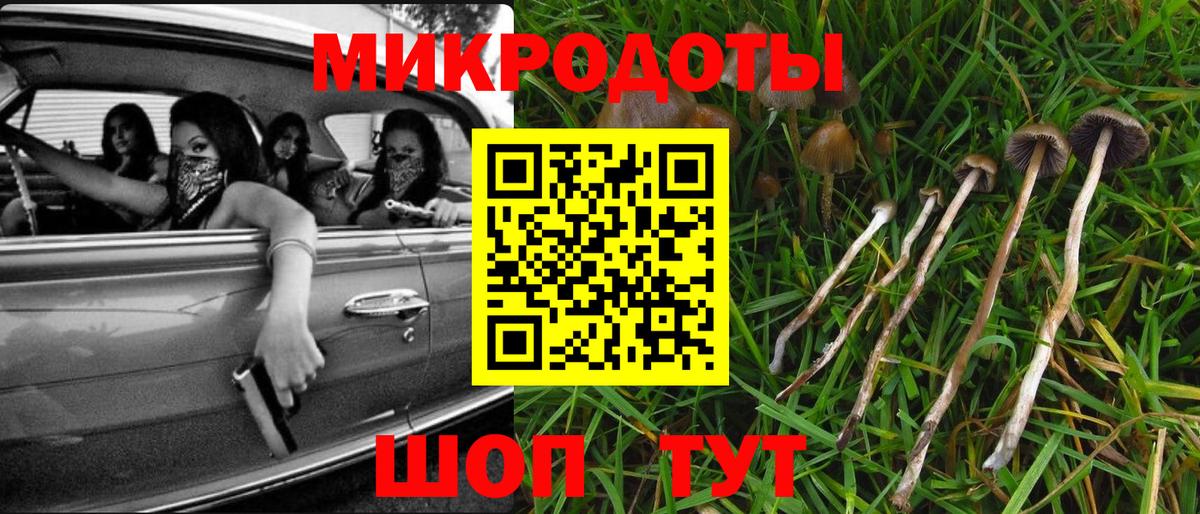 Кулебаки  Псилоцибиновые грибы MAGIC MUSHROOMS  где продают наркотики  Галлюциногенные грибы мухоморы  Вход с VPN 
